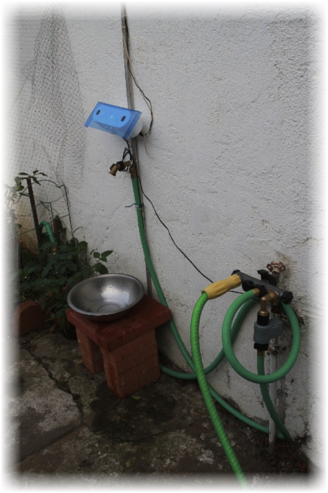 Dog Fountain build overview